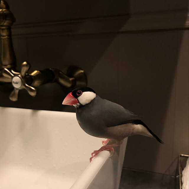 H-iroyaさんの実例写真