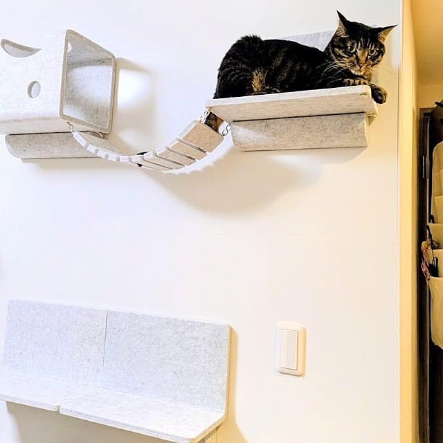 hihaさんの実例写真