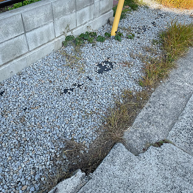 seiさんの部屋