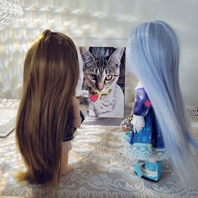 akimameさんの実例写真