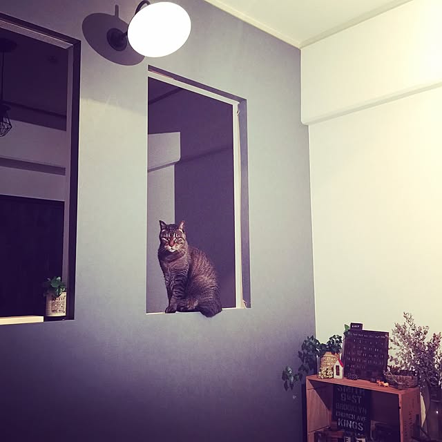 beansさんの実例写真