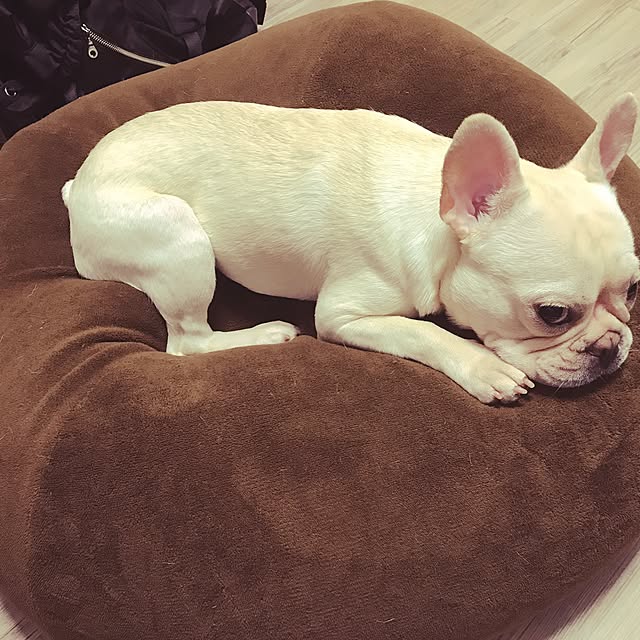wjs1028さんの実例写真