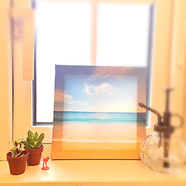 Koiya_chanさんの実例写真