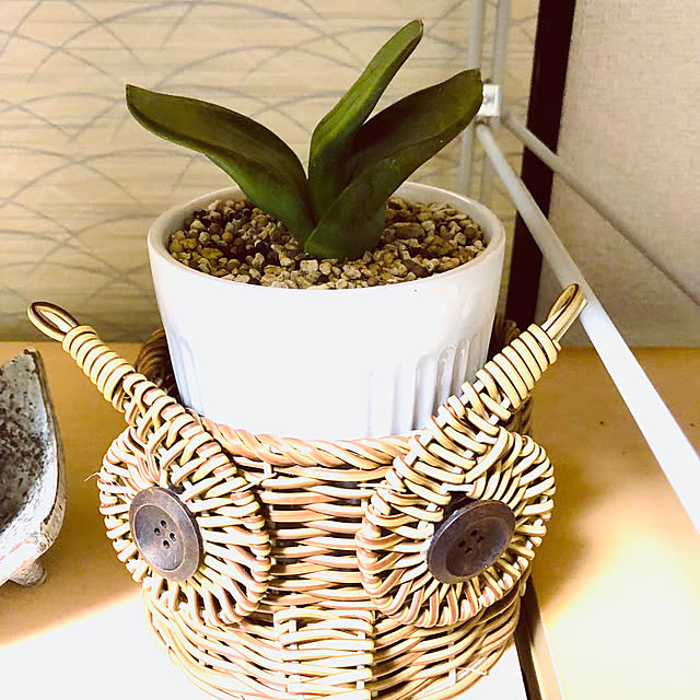 hanachanさんの部屋