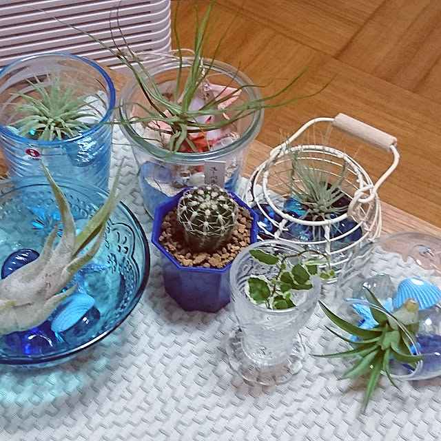 kogumaさんの実例写真