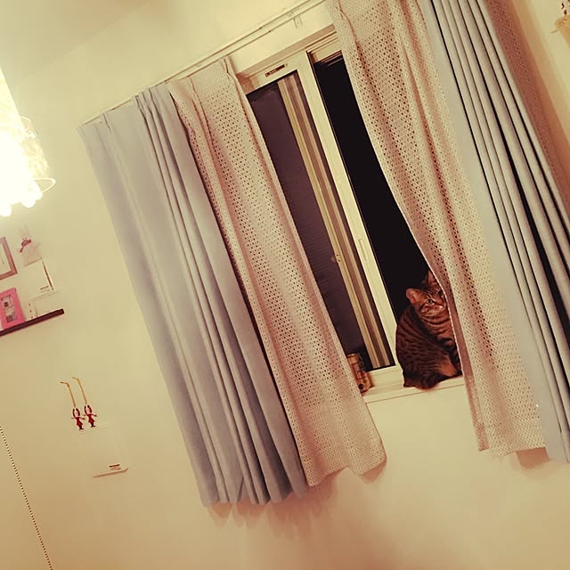 dogyannaさんの実例写真