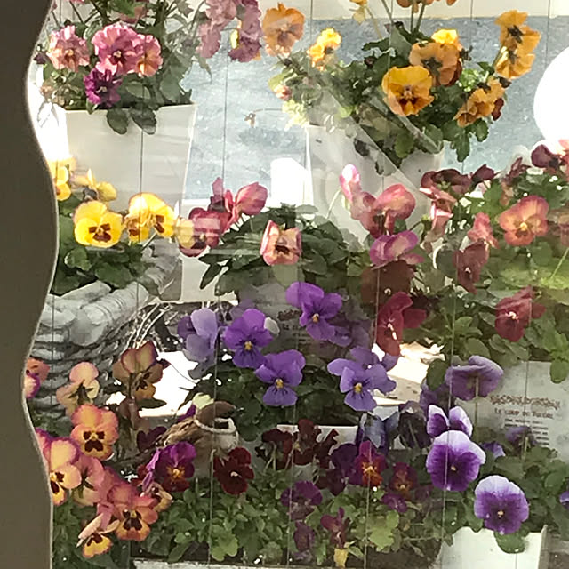 kirara1027さんの実例写真