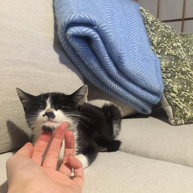 PEさんの実例写真
