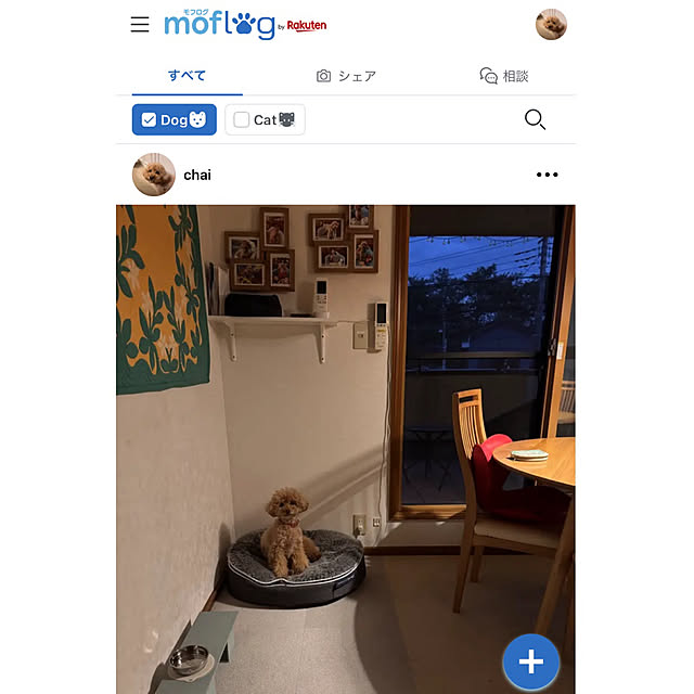chaimomさんの実例写真