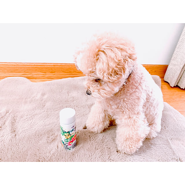 teaさんの実例写真