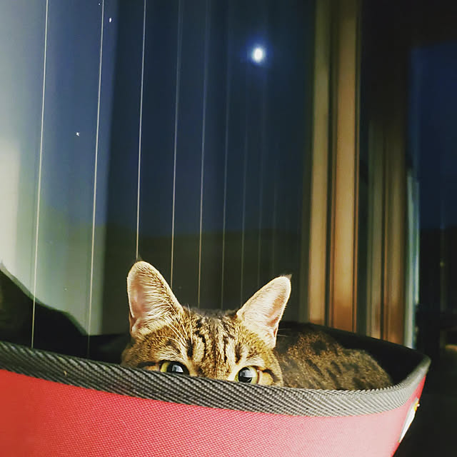 nonchanさんの実例写真