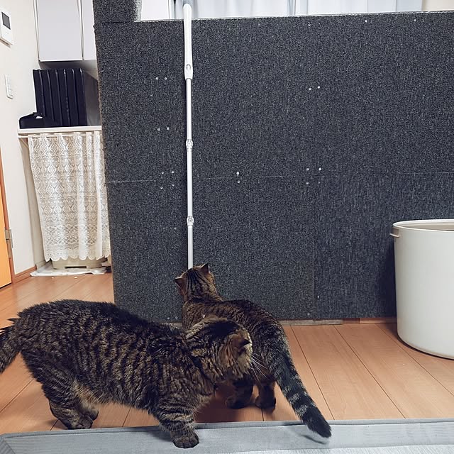 noguriさんの部屋