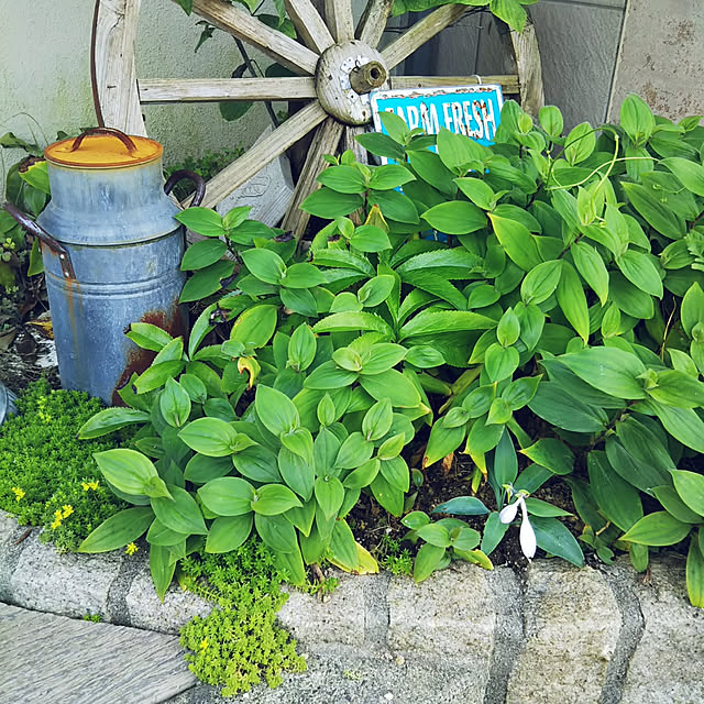 MMYSさんの実例写真