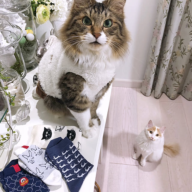 yuchiさんの実例写真