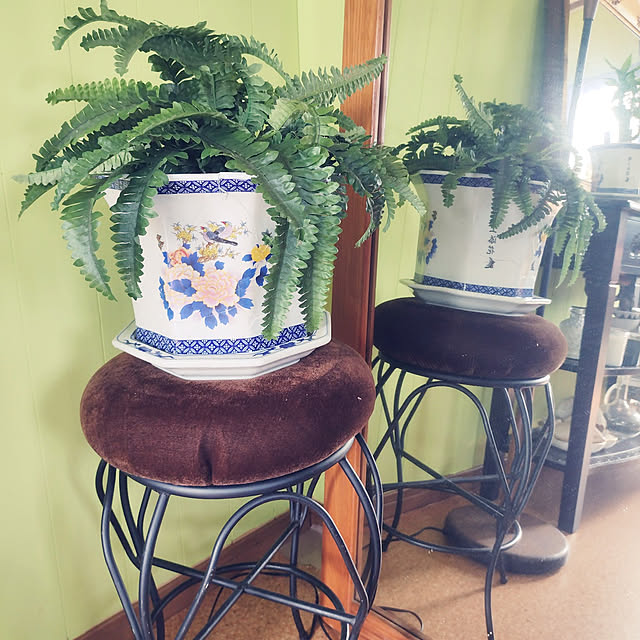 ataruさんの実例写真