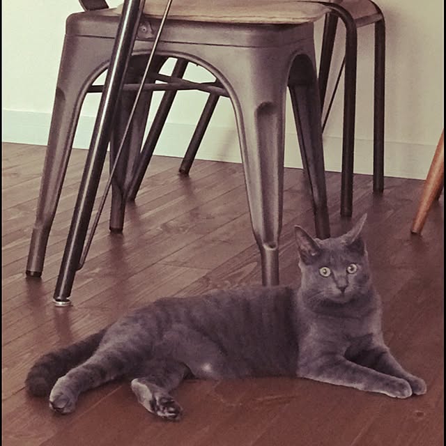 Chiemiさんの実例写真