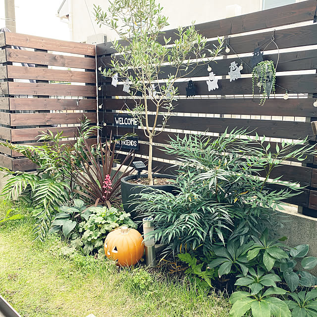 ___.homeさんの実例写真