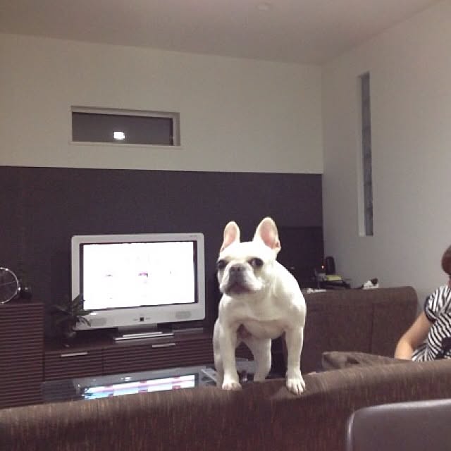 Komanechi.aさんの実例写真