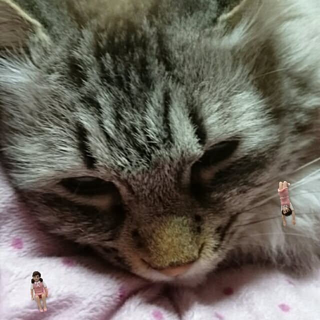 hiroさんの実例写真