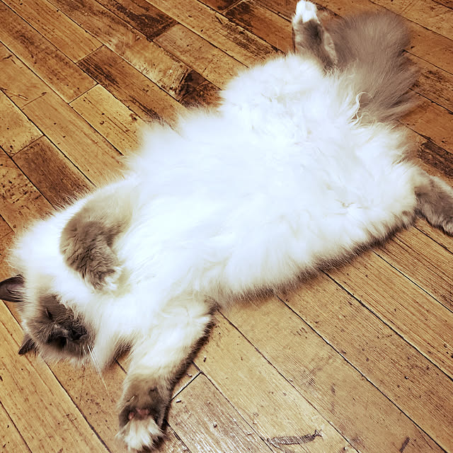 anneさんの実例写真