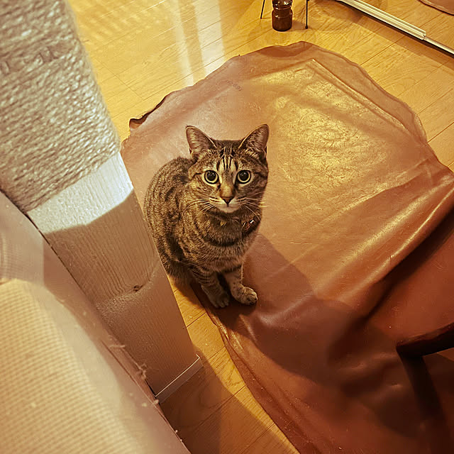 Mさんの実例写真