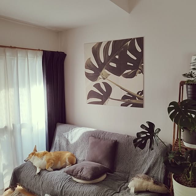 animallandさんの部屋