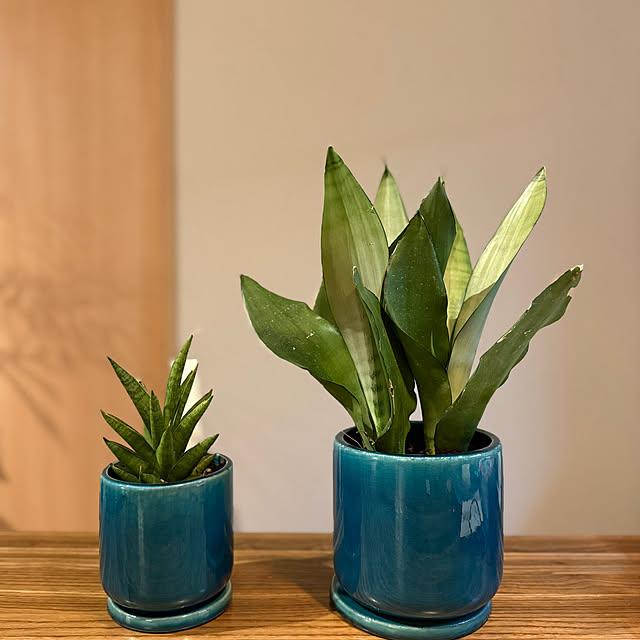 D-Coastさんの実例写真