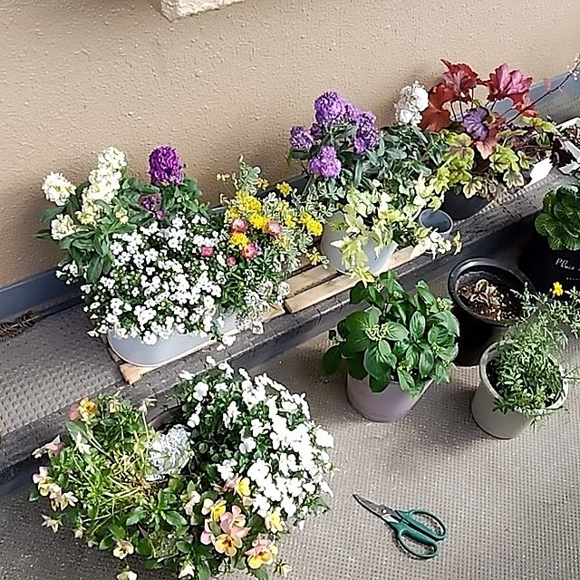 garden.numaさんの部屋