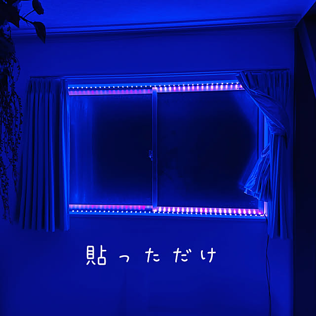 Kokochanさんの実例写真