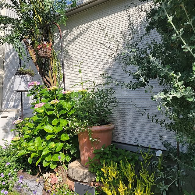 masarinn.さんの部屋