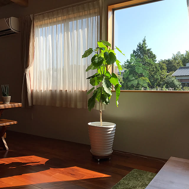mameさんの実例写真