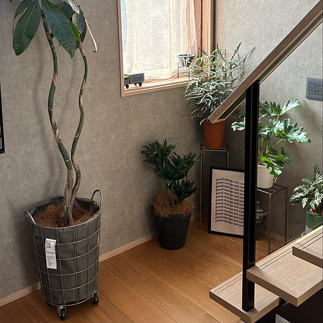 Rさんの実例写真