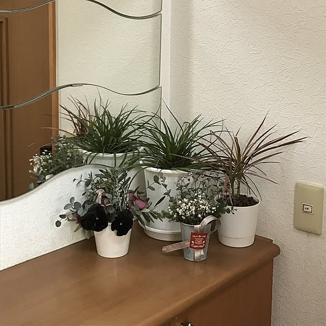 Rrikaさんの実例写真