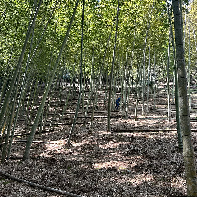 banbinaさんの部屋