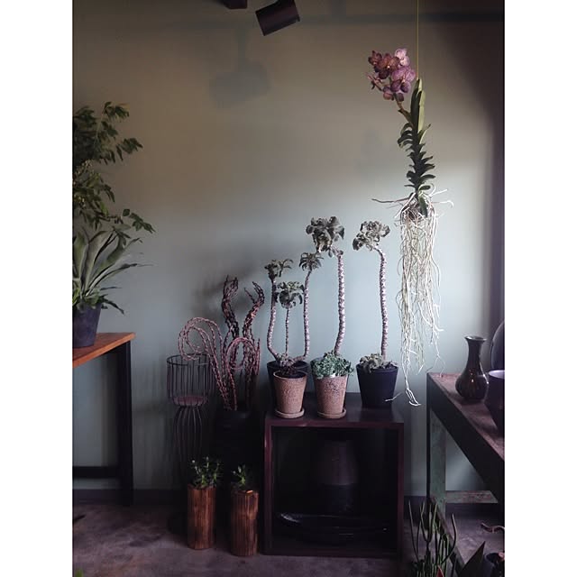 growさんの実例写真