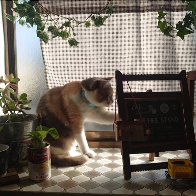 fukuさんの部屋