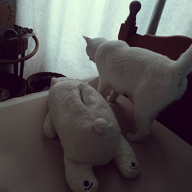 Ohigeさんの実例写真