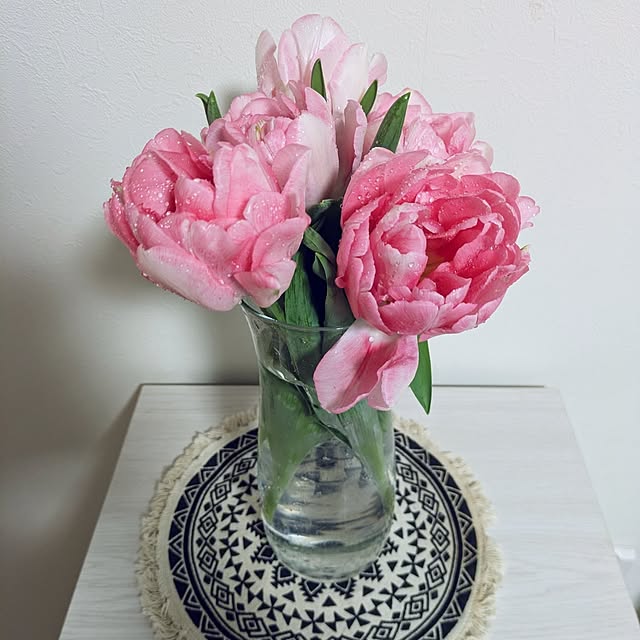 Shion+さんの実例写真