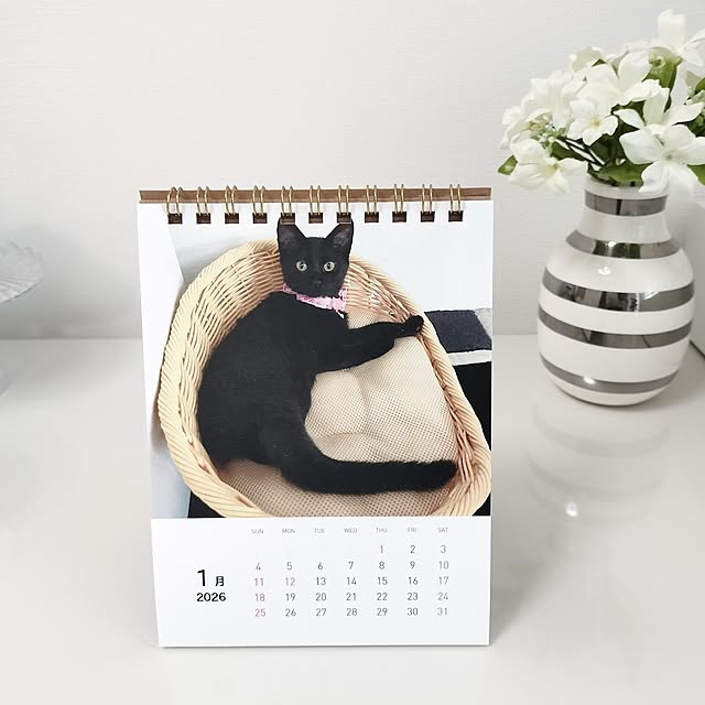 sakuraさんの部屋