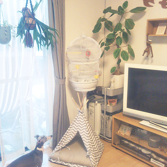nonさんの実例写真
