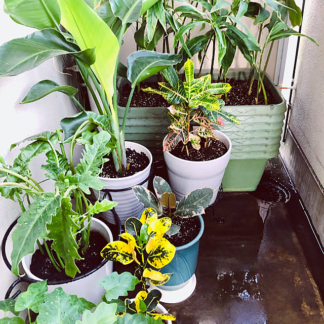 hanachanさんの部屋