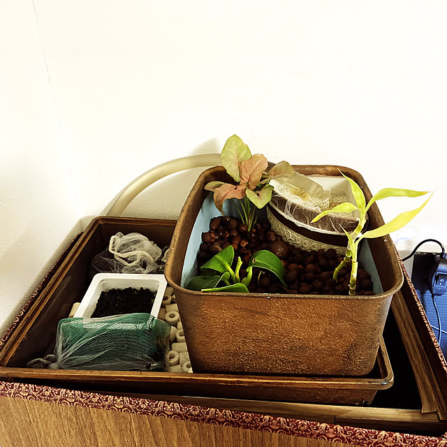 HIKARUさんの部屋