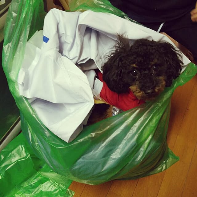 POOTAさんの実例写真