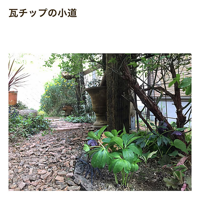 kinu-itoさんの部屋