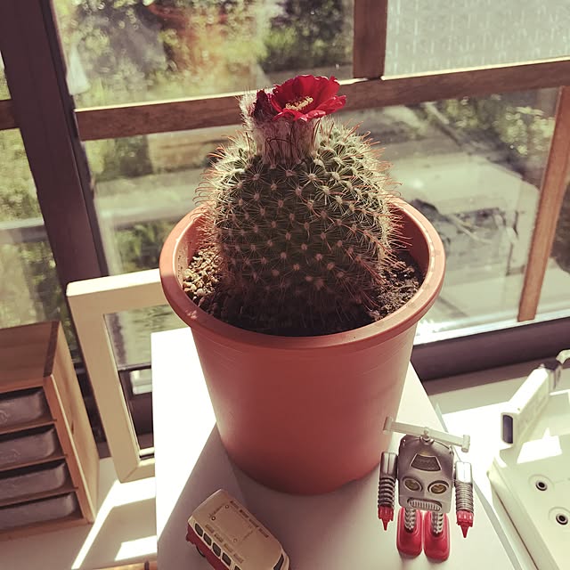 Ayaさんの実例写真