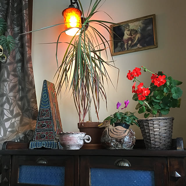 shigimiさんの実例写真