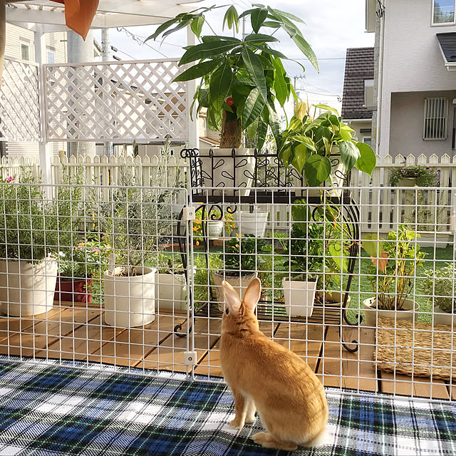 Michiさんの実例写真