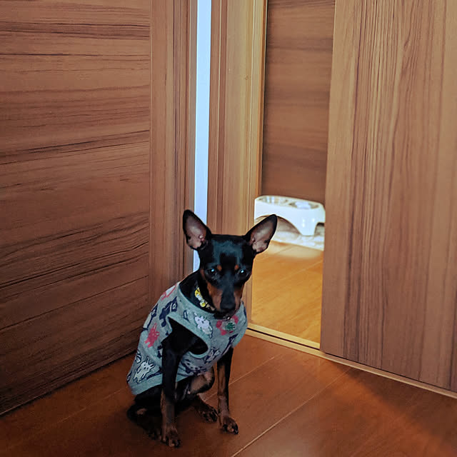shizuponさんの実例写真