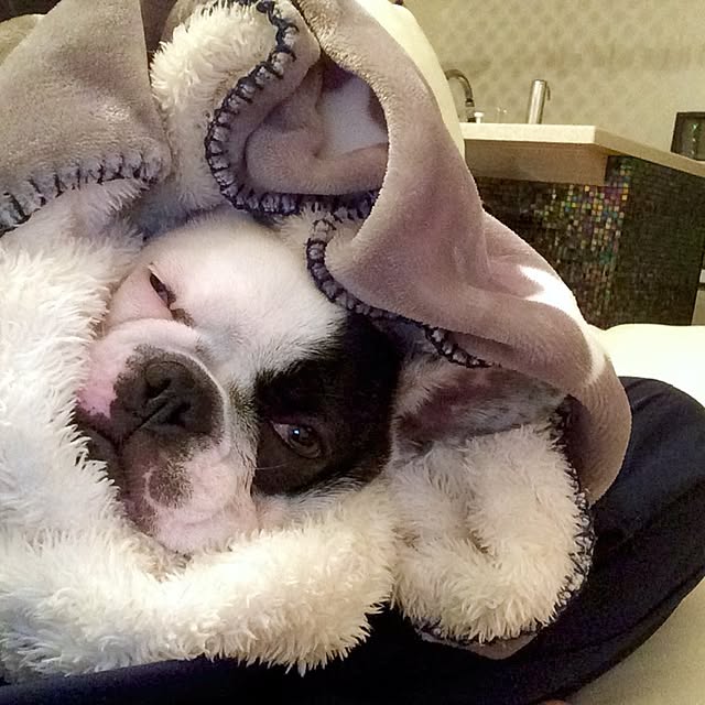 Mさんの実例写真