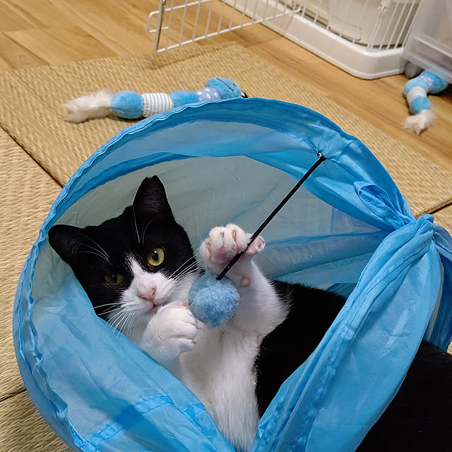 hihaさんの実例写真